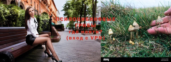 дмт Алексин
