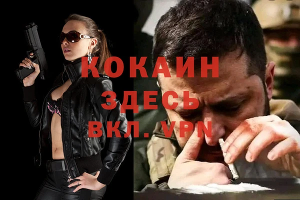 дмт Алексин
