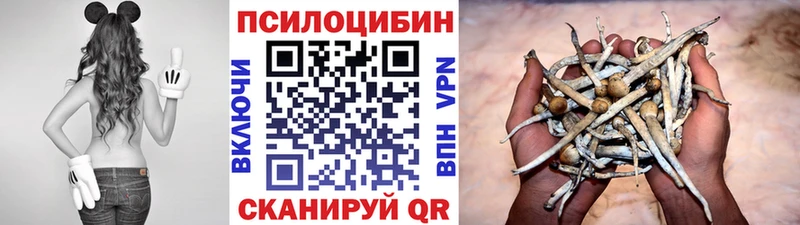 Псилоцибиновые грибы GOLDEN TEACHER  Учалы 